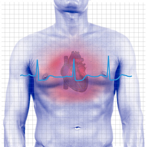 Heartbeat
